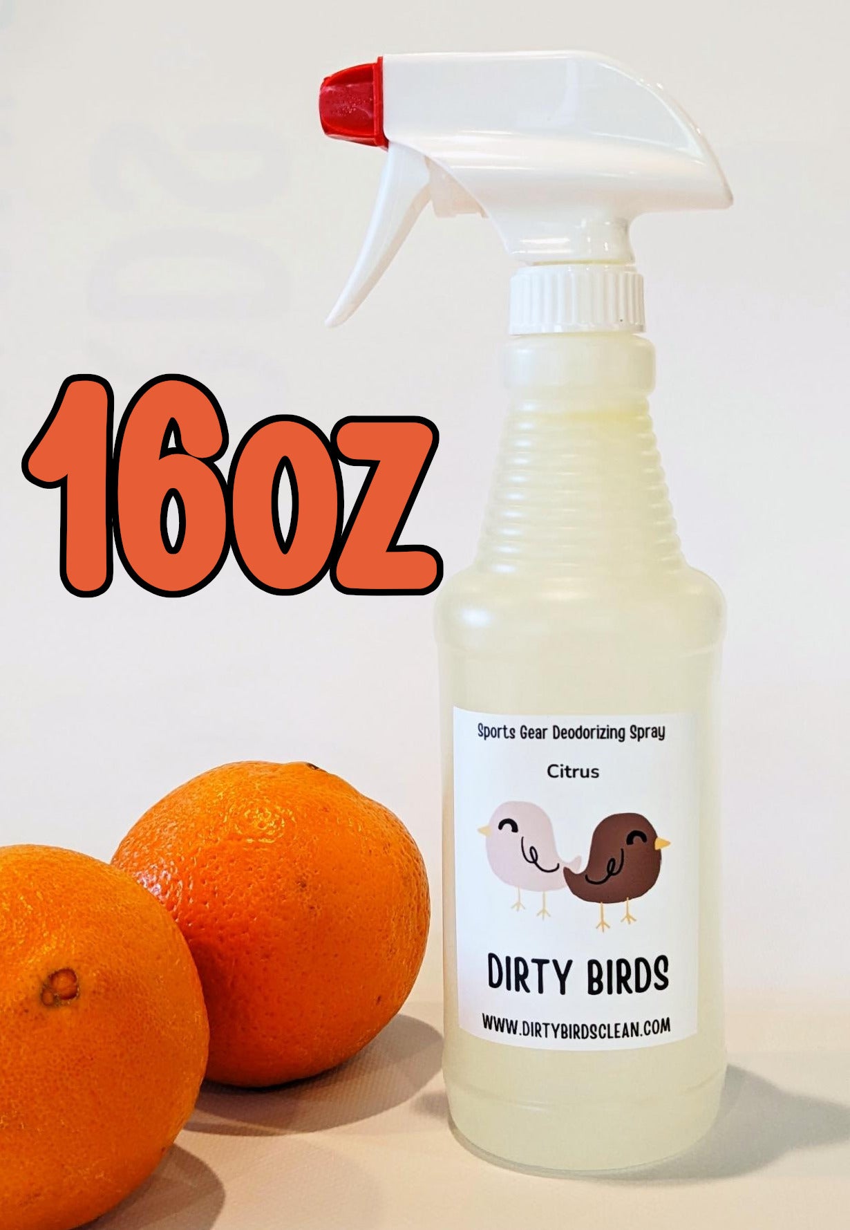 Deodorizing Spray 16oz Citrus