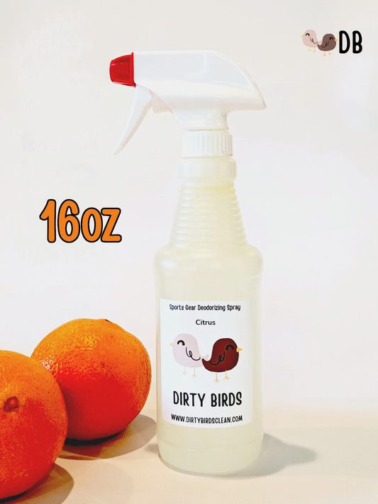 Deodorizing Spray 16oz Citrus